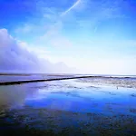 Am Wattenmeer * フリードリッヒシュコオク