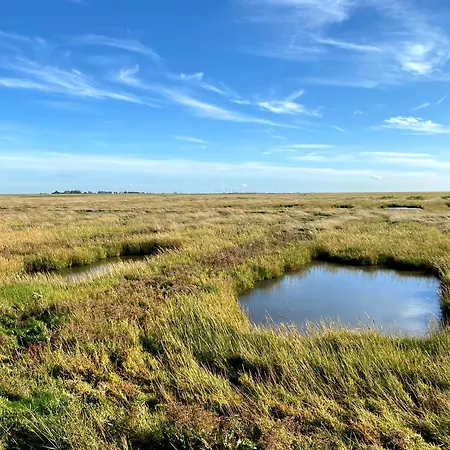 Am Wattenmeer Appartement