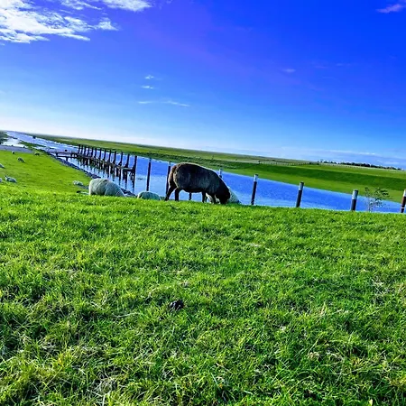 Am Wattenmeer Appartement *