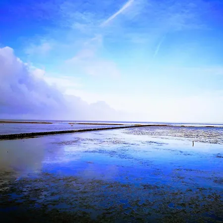 Am Wattenmeer * Friedrichskoog