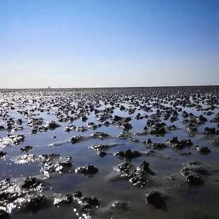 Am Wattenmeer * Friedrichskoog